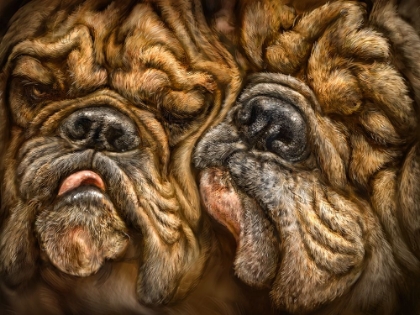 Picture of WRINKLES