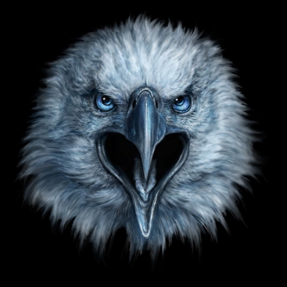 Picture of EAGLE FACE