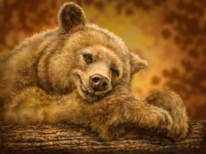 Picture of SLEEPY BEAR