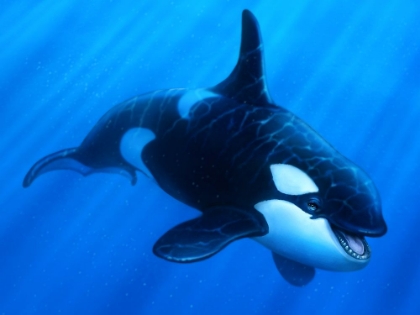 Picture of ORCA