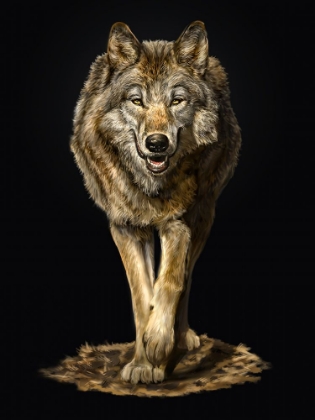 Picture of WALKING WOLF