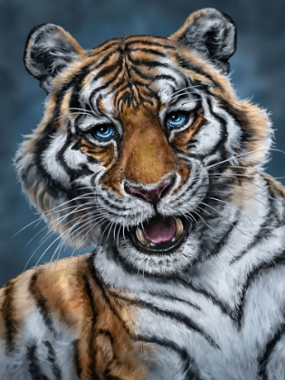 Picture of AMUR TIGER
