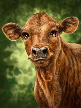 Picture of CLEARWATER CALF