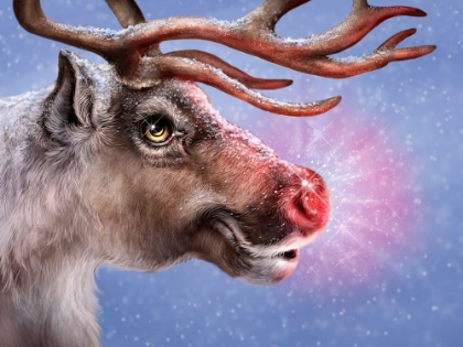 Picture of RUDOLPH