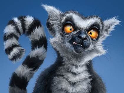 Picture of RING TAILED LEMUR