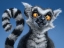 Picture of RING TAILED LEMUR