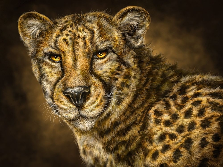 Picture of CHEETAH