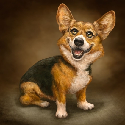 Picture of CORGI