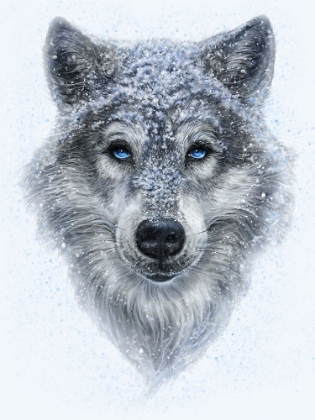 Picture of WINTER WOLF