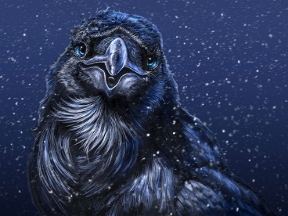 Picture of WINTER RAVEN