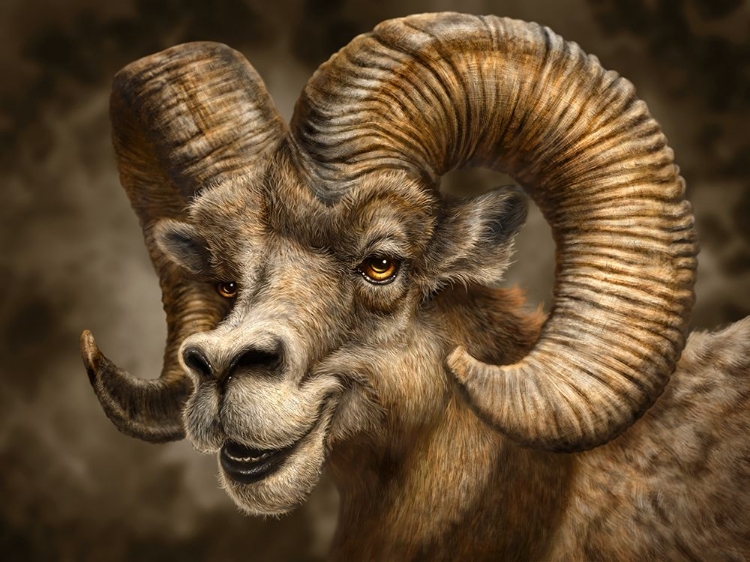 Picture of BRAZEN BIGHORN