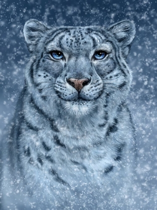 Picture of SNOW QUEEN