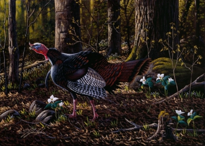 Picture of HILLSIDE GOBBLER