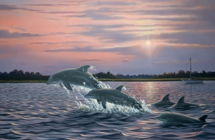 Picture of DOLPHINS