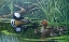 Picture of MERGANSER