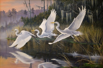 Picture of MORNING DEPARTURE EGRETS