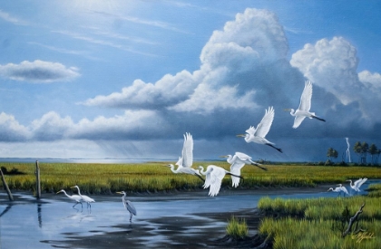 Picture of SUMMER STORM EGRETS