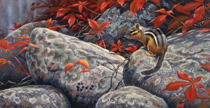 Picture of AUTUMN PLAYGROUND - EASTERN CHIPMUNK