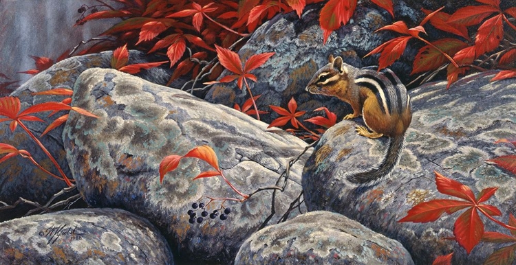 Picture of AUTUMN PLAYGROUND - EASTERN CHIPMUNK