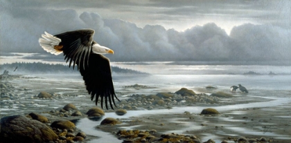 Picture of LOWTIDE - BALD EAGLE