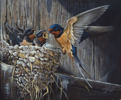 Picture of COUNTRY LIVING  - BARN SWALLOWS
