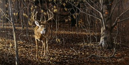 Picture of SNEAKING THROUGH - WHITETAIL
