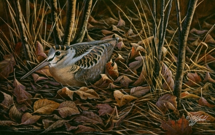 Picture of WOODCOCK AMONG THE LEAVES