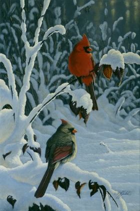 Picture of CARDINALS AND BRAMBLES