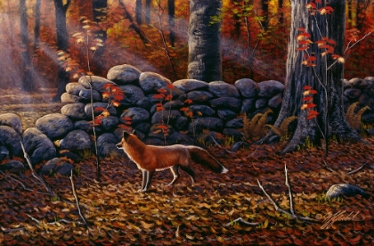 Picture of AUTUMN REDS - RED FOX