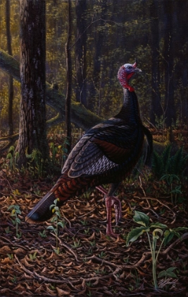 Picture of EVER ALERT - WILD TURKEY