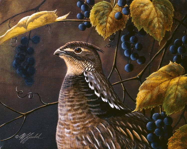 Picture of GROUSE AND GRAPES