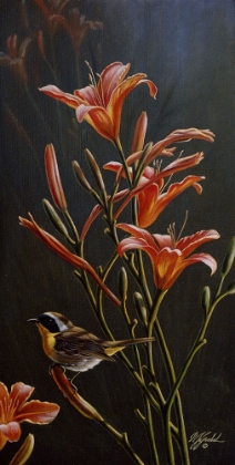 Picture of YELLOWTHROAT AND DAYLILIES
