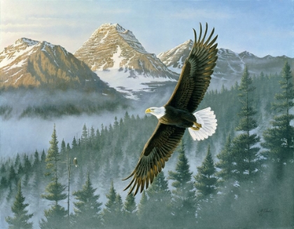 Picture of SOARING EAGLE