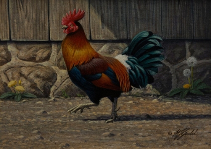 Picture of BARNYARD STRUT - BANTAM ROOSTER