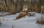 Picture of LANDING ZONE