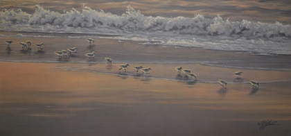 Picture of MORNING SURF AND SANDERLINGS