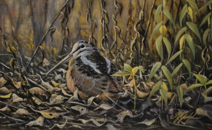 Picture of WOODCOCK