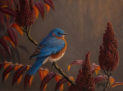 Picture of AUTUMN BLUEBIRD