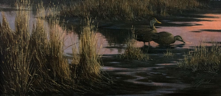 Picture of BLACK DUCKS AT DUSK
