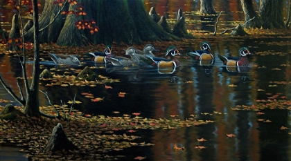 Picture of CYPRESS JEWELS - WOOD DUCKS