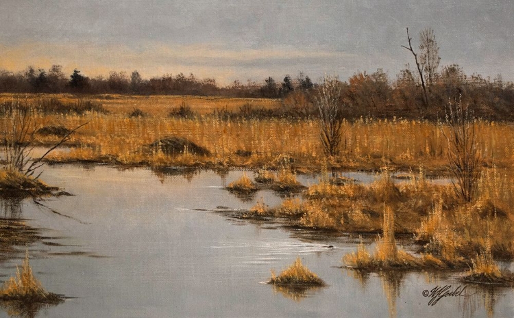 Picture of MUSKRAT MARSH