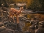 Picture of WATERS EDGE - FAWN