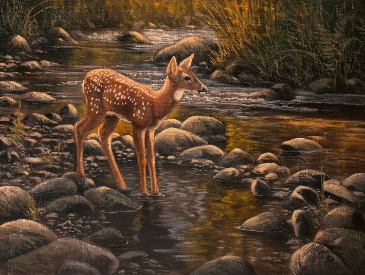 Picture of WATERS EDGE - FAWN