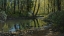 Picture of WOODLAND CREEK