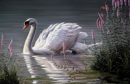 Picture of SUMMER IDYLL - MUTE SWAN