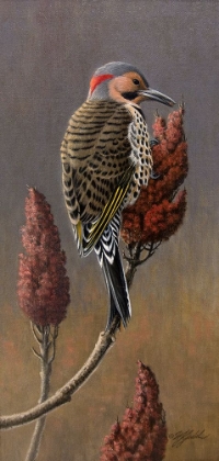 Picture of FLICKER ON SUMAC