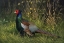 Picture of JAPANESE GREEN PHEASANT