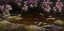 Picture of SPRING RUN