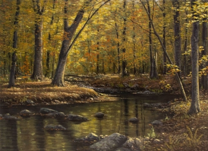 Picture of WOODLAND BROOK