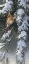 Picture of WINTER LIGHT 2
